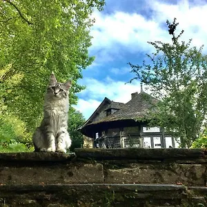 Bed and breakfast A
