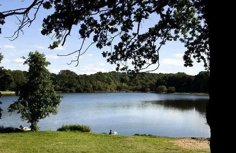 Hotel Terres De France - Le Domaine Du Moulin Neuf Rochefort-en-Terre 3*,